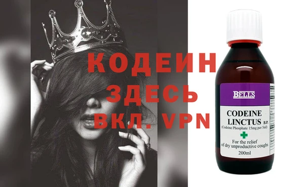 трава Гатчина