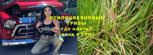 метадон Богданович