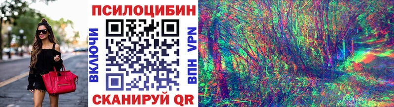 Псилоцибиновые грибы мухоморы  Дятьково 